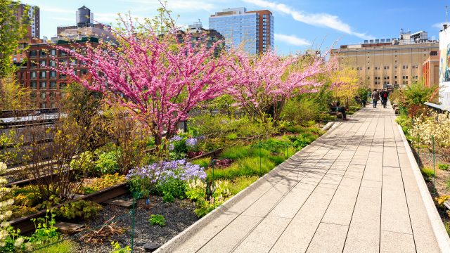 High Line