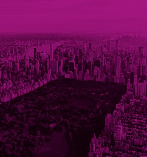 Aerial view of Central Park with purple overlay
