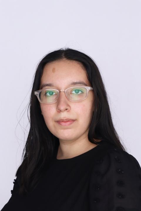 item.storyPage.profileImage.alt || true