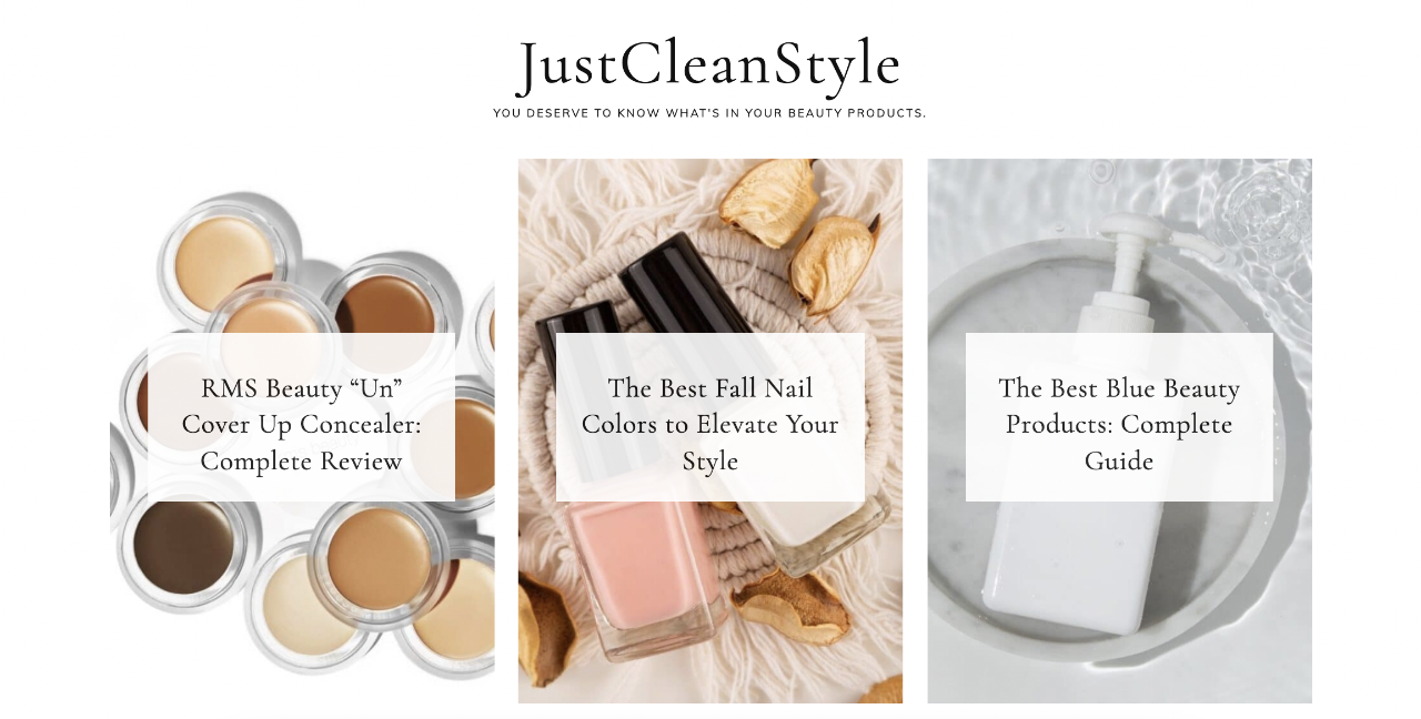 Image of JustCleanStyle homepage
