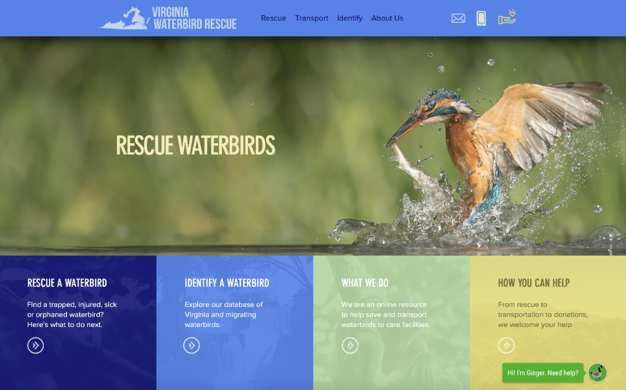 Rescue Waterbirds