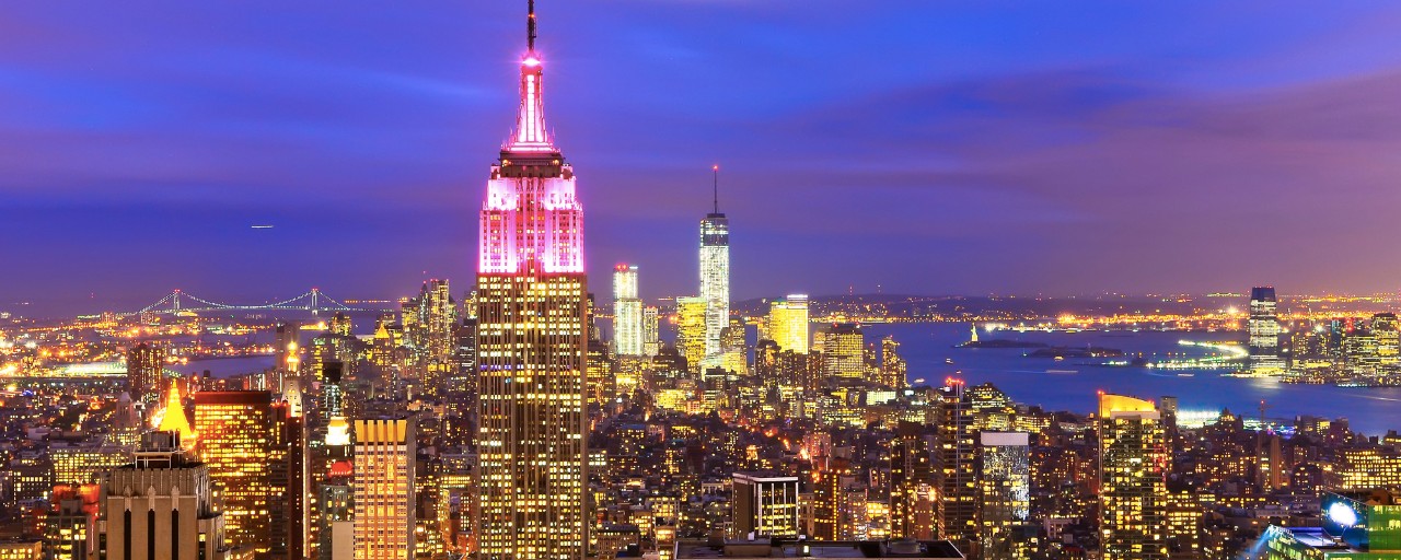 The NYU Advanced Publishing Institute (API) – January 8-12, 2024!
