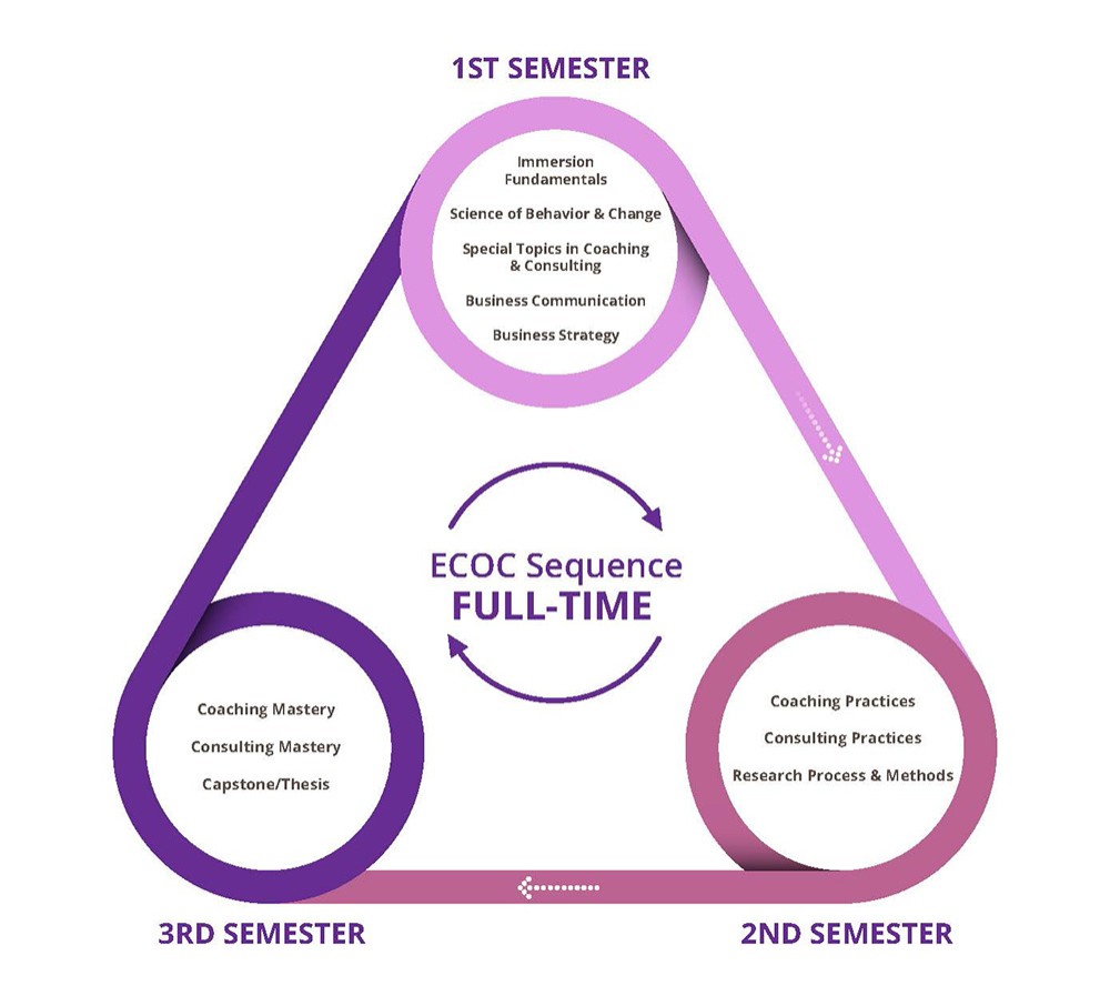 Executive Coaching Full Time Track