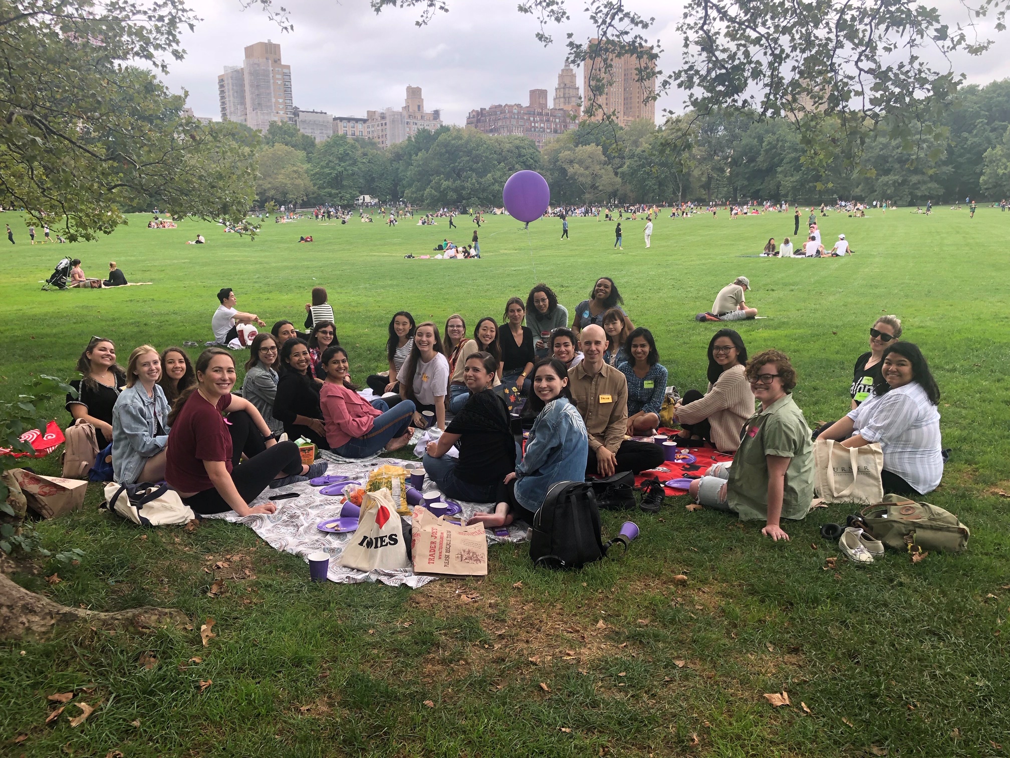 Publishing Students Association (PSA) members have a picnic in New York City's Central Park